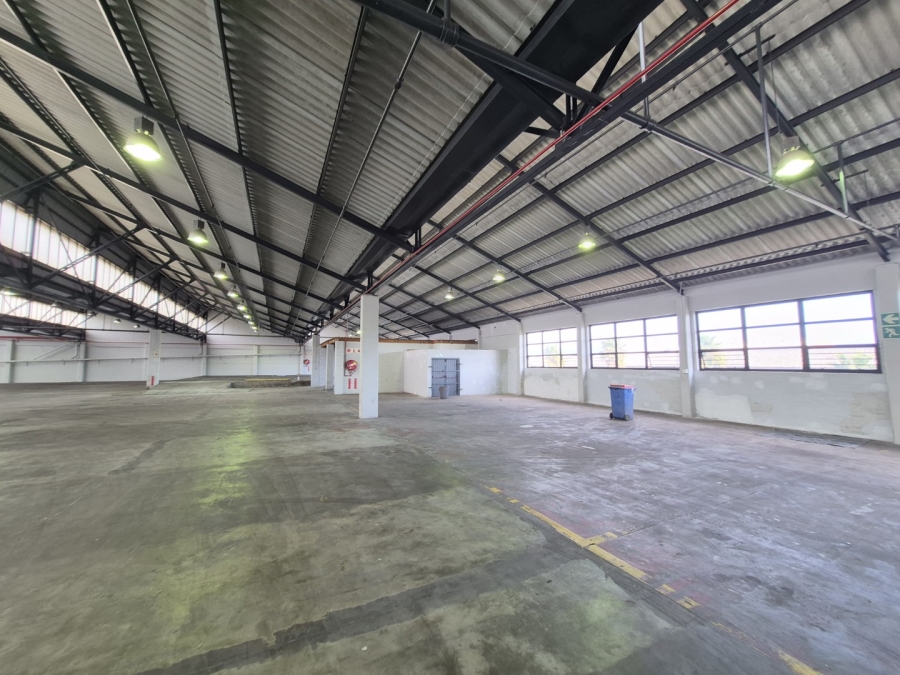To Let Commercial Property for Rent in Paarden Eiland Western Cape
